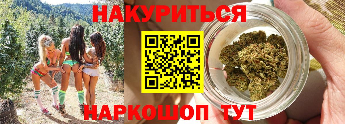 Конопля Bruce Banner  Марихуана LSD WEED  Конопля сатива  Вход с VPN  Ставрополь  Бошки марихуана план 